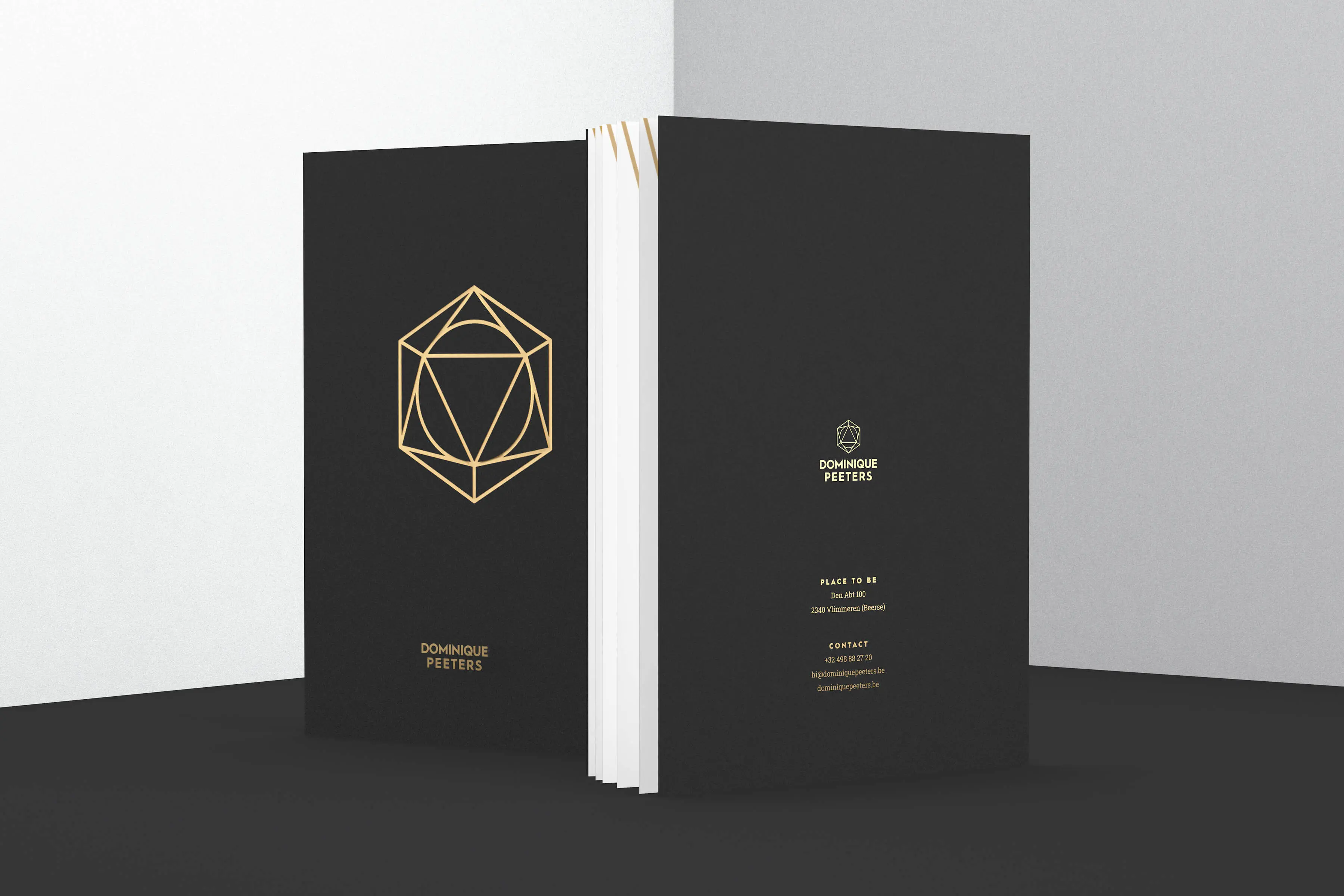 Dominique Peeters, case visual