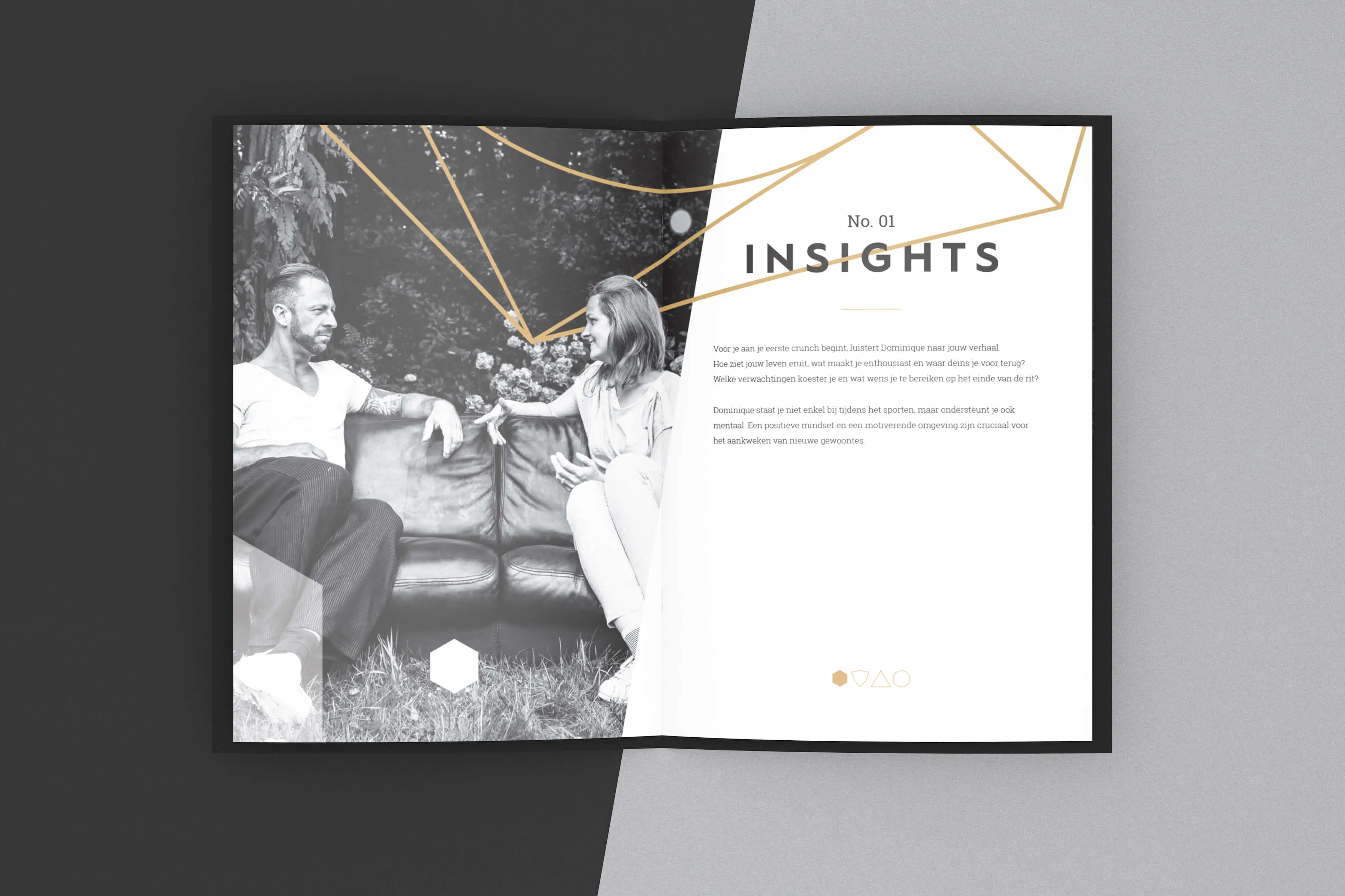 Dominique Peeters, case visual