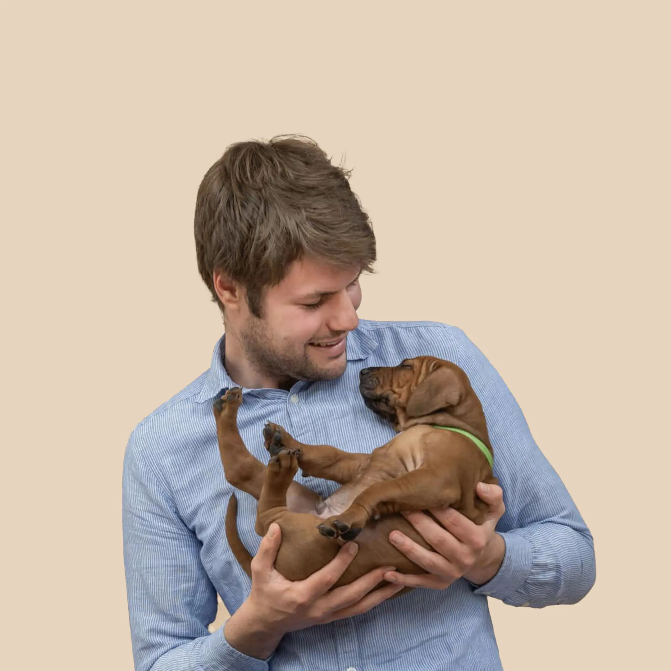 BuddyBites, Concept Validation