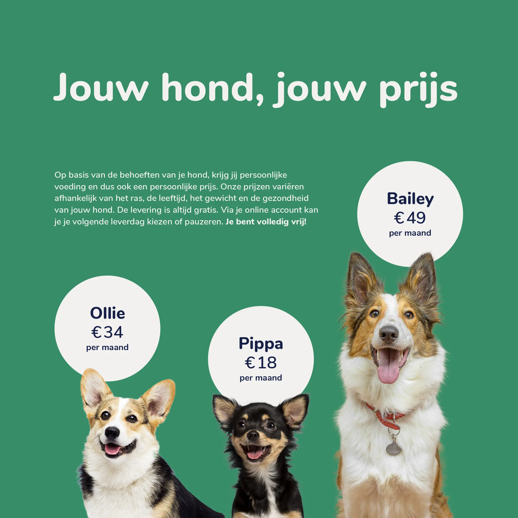 BuddyBites, Brand Opportunities