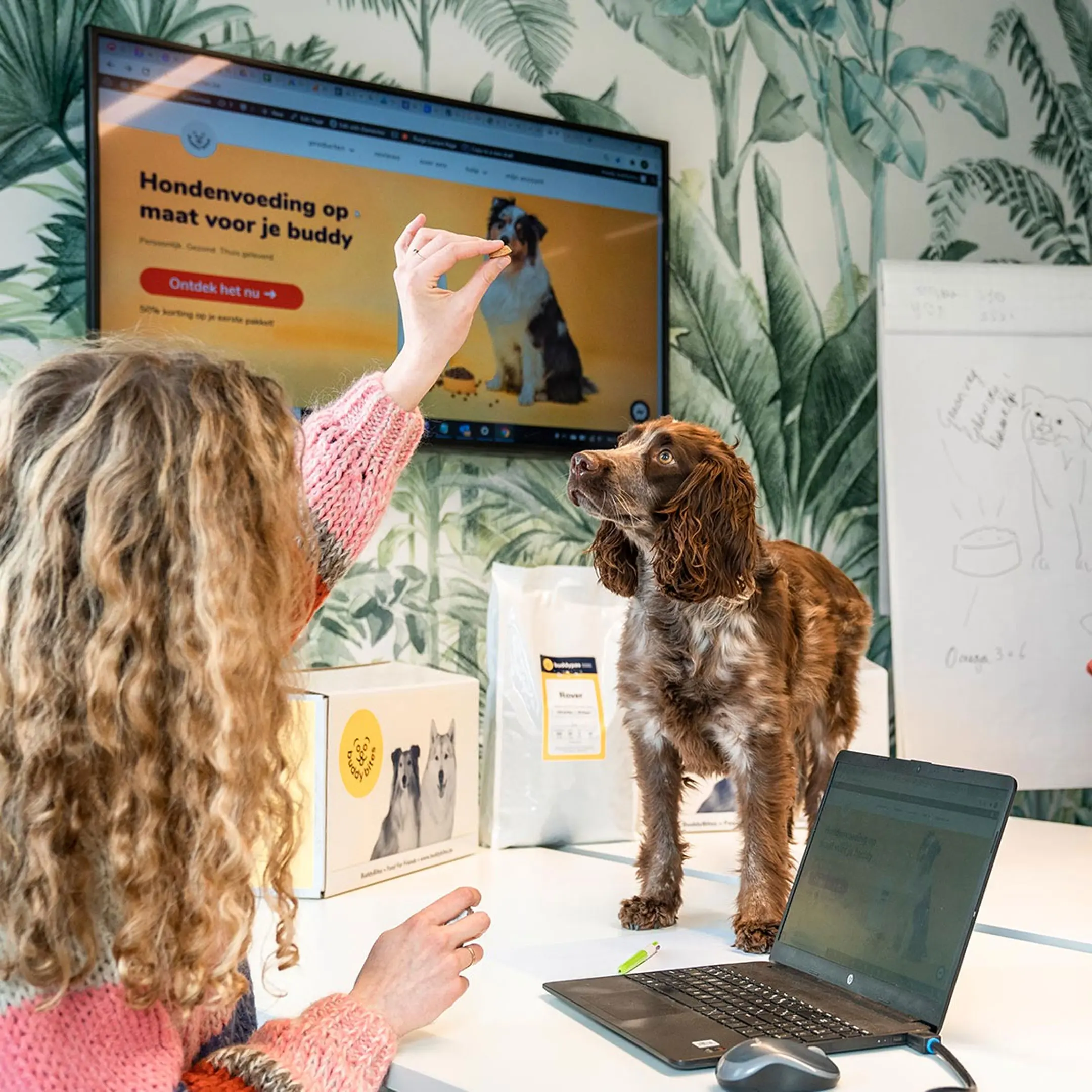 BuddyBites, Brand Opportunities