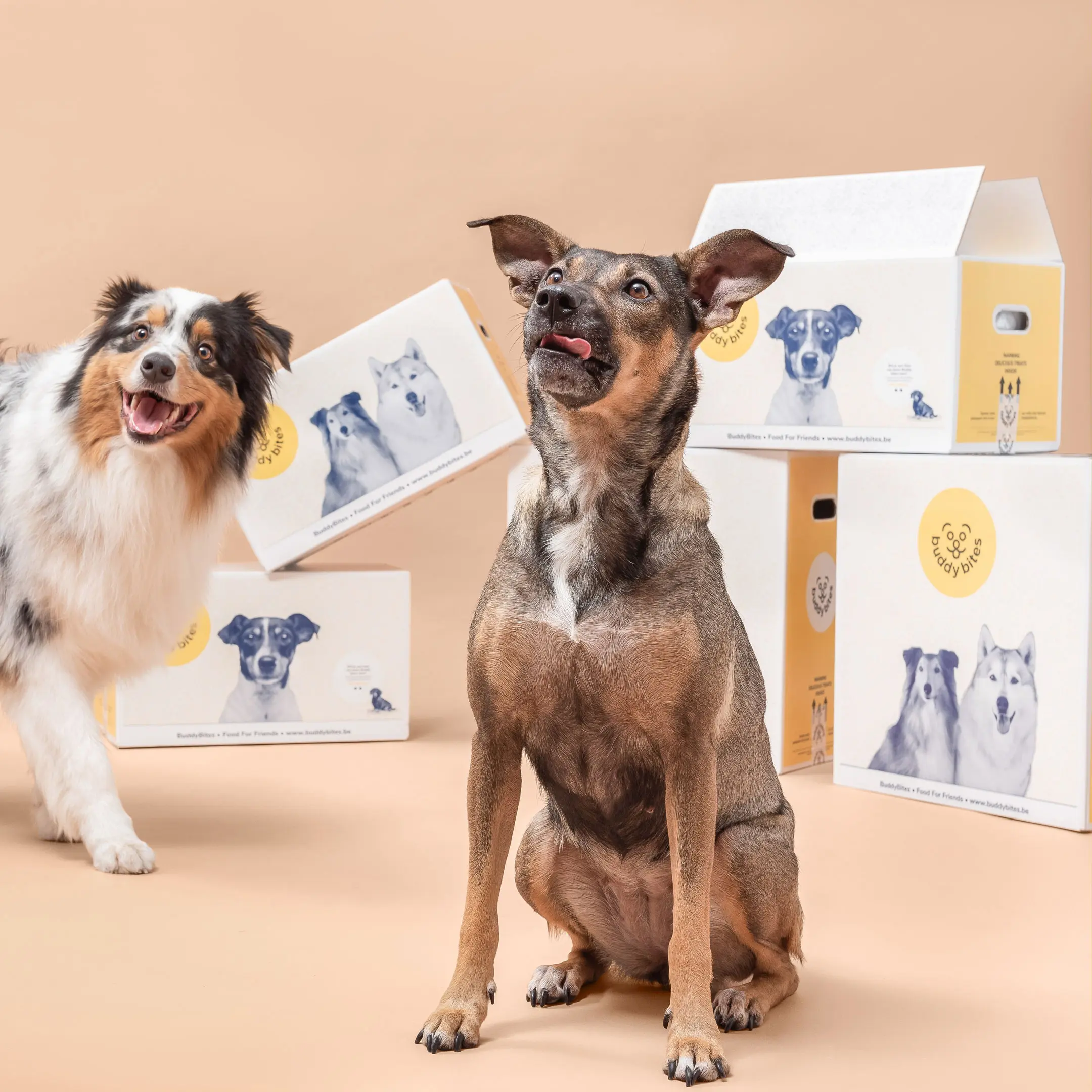 BuddyBites, Brand Opportunities