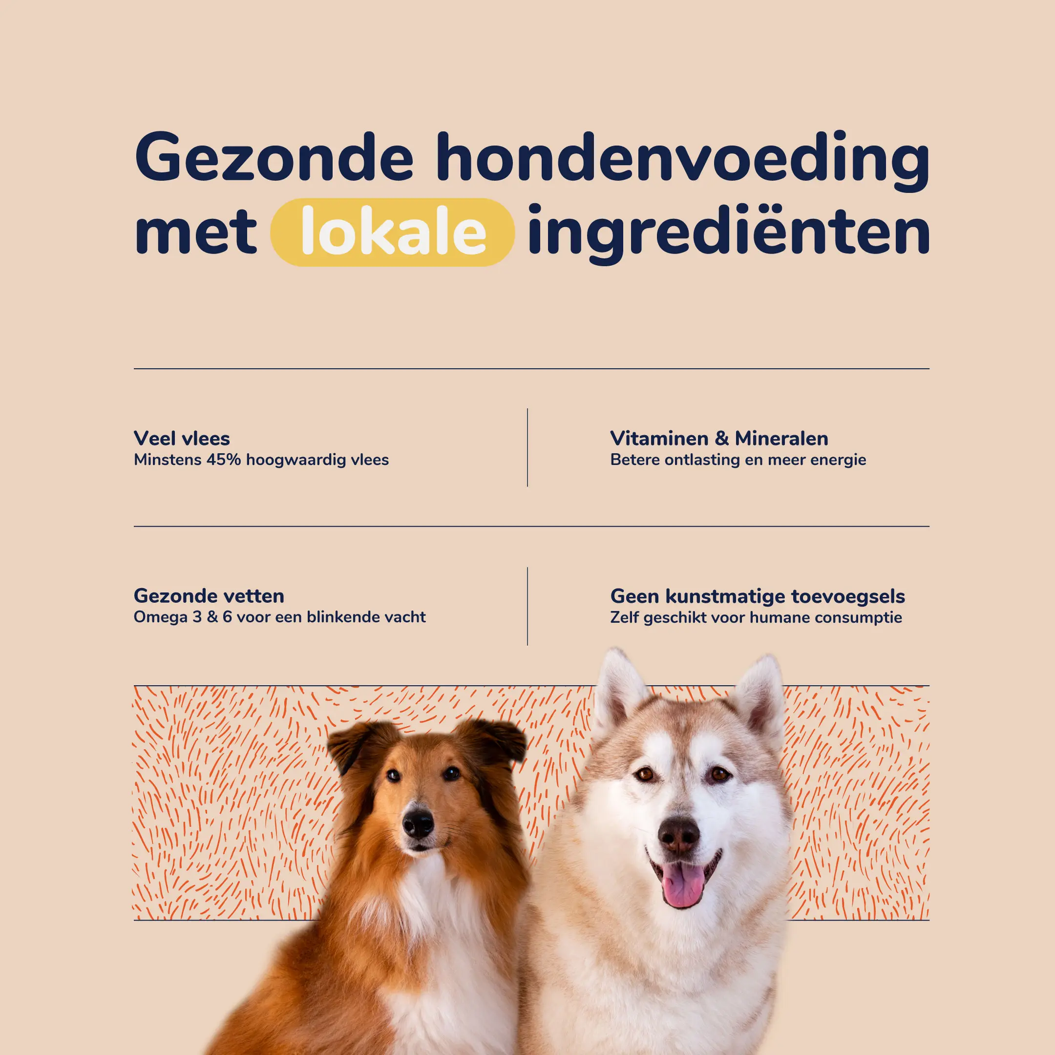 BuddyBites, Proposition