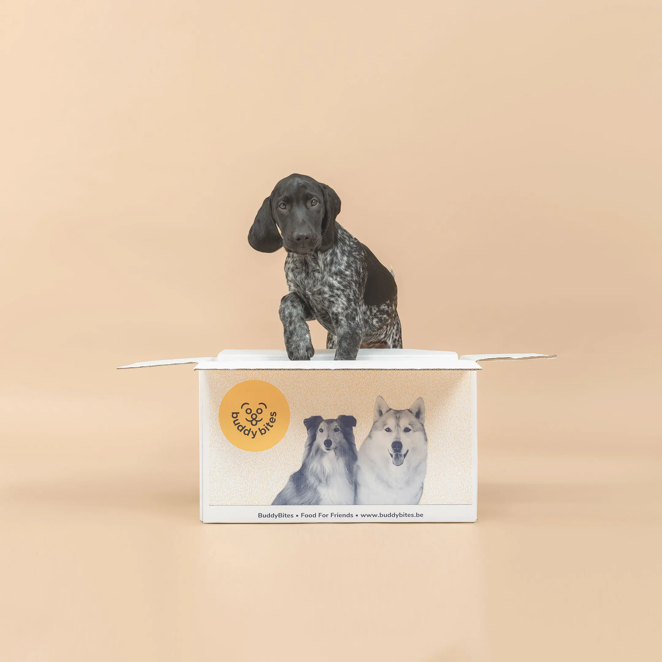 BuddyBites, Imagery
