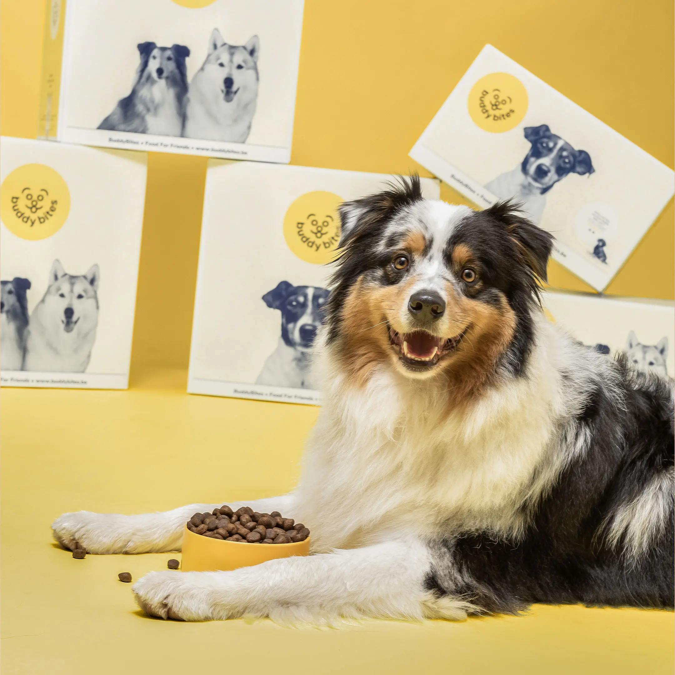 BuddyBites, Imagery