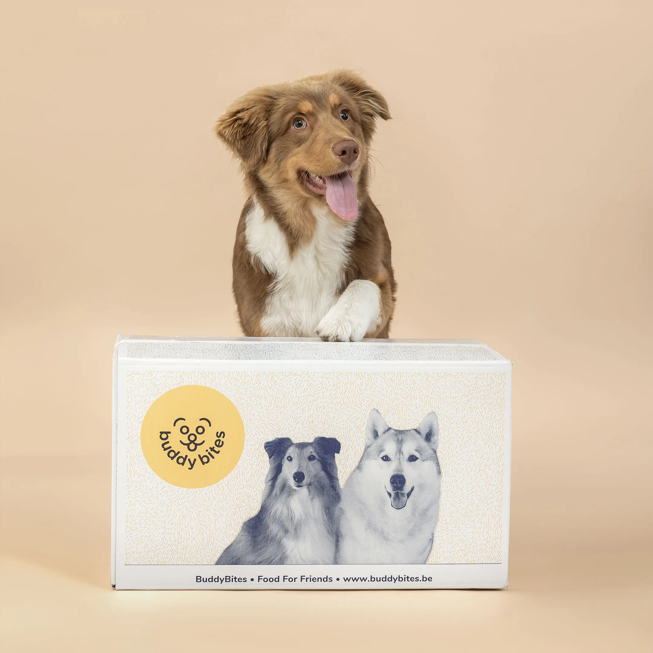 BuddyBites, Imagery