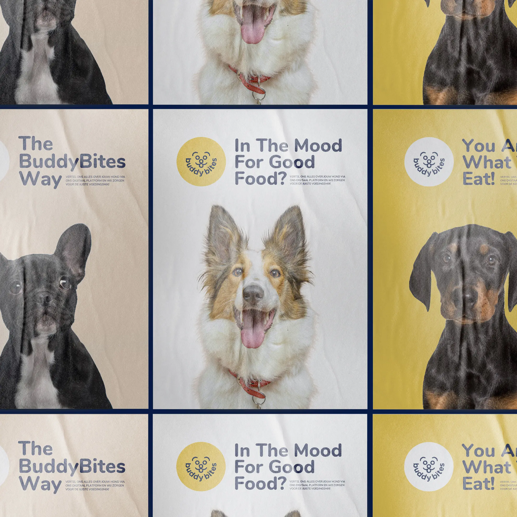 BuddyBites, Tone Of Voice
