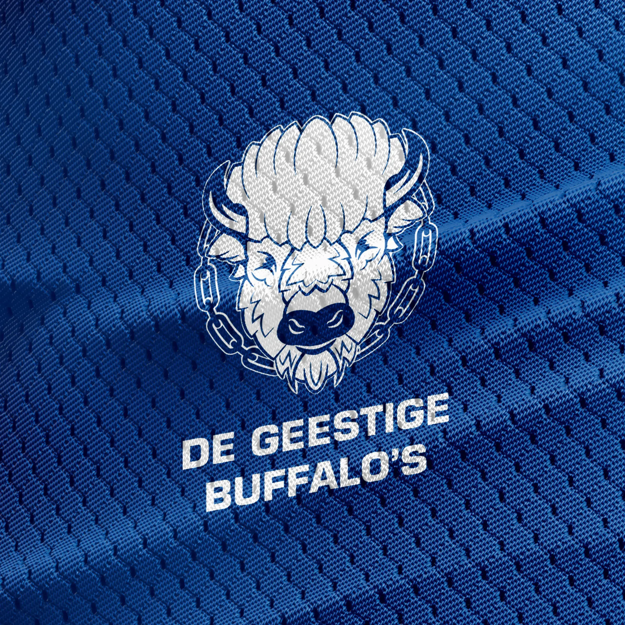 KAA Gent, case visual