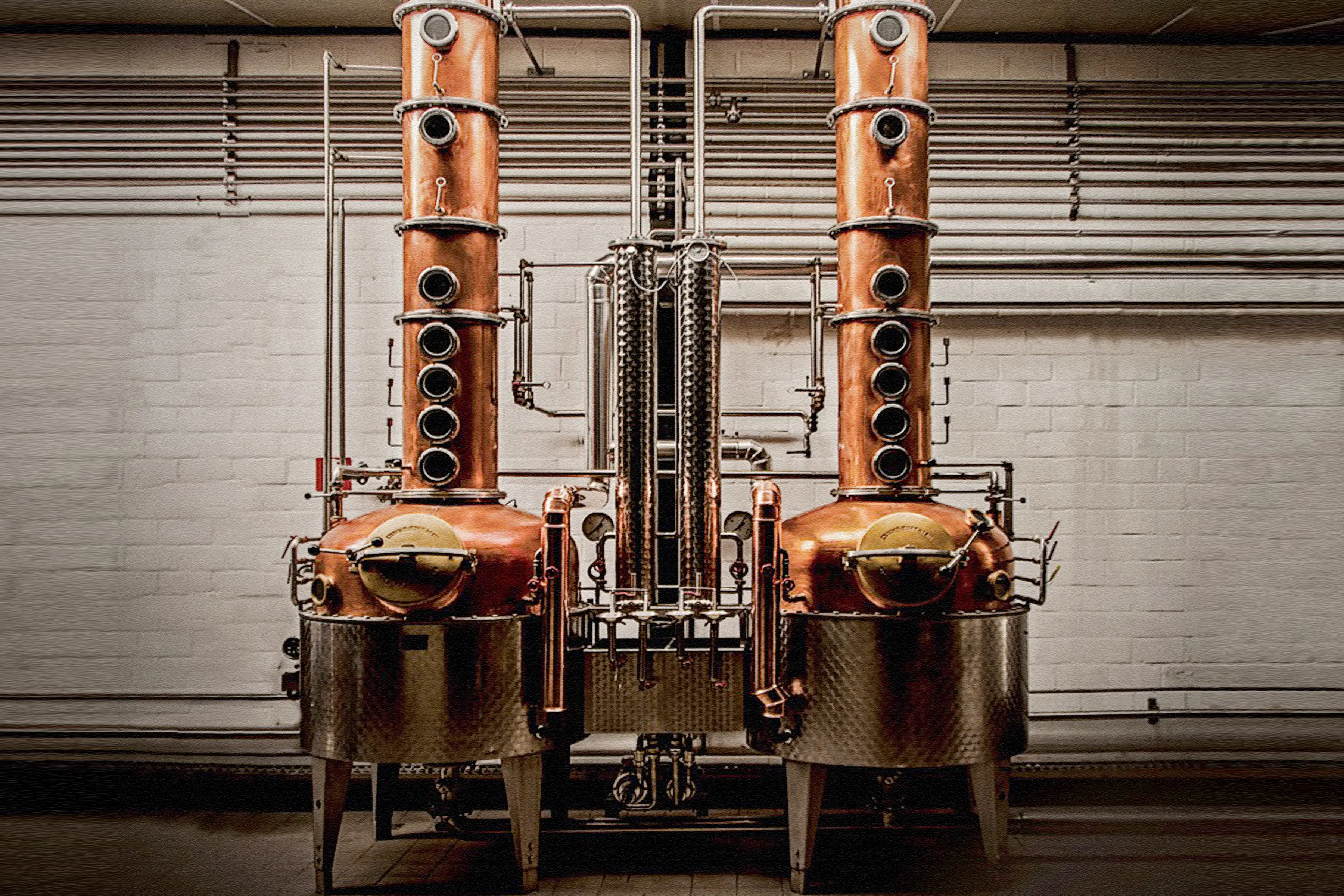 Filliers Dry Gin 28, case visual