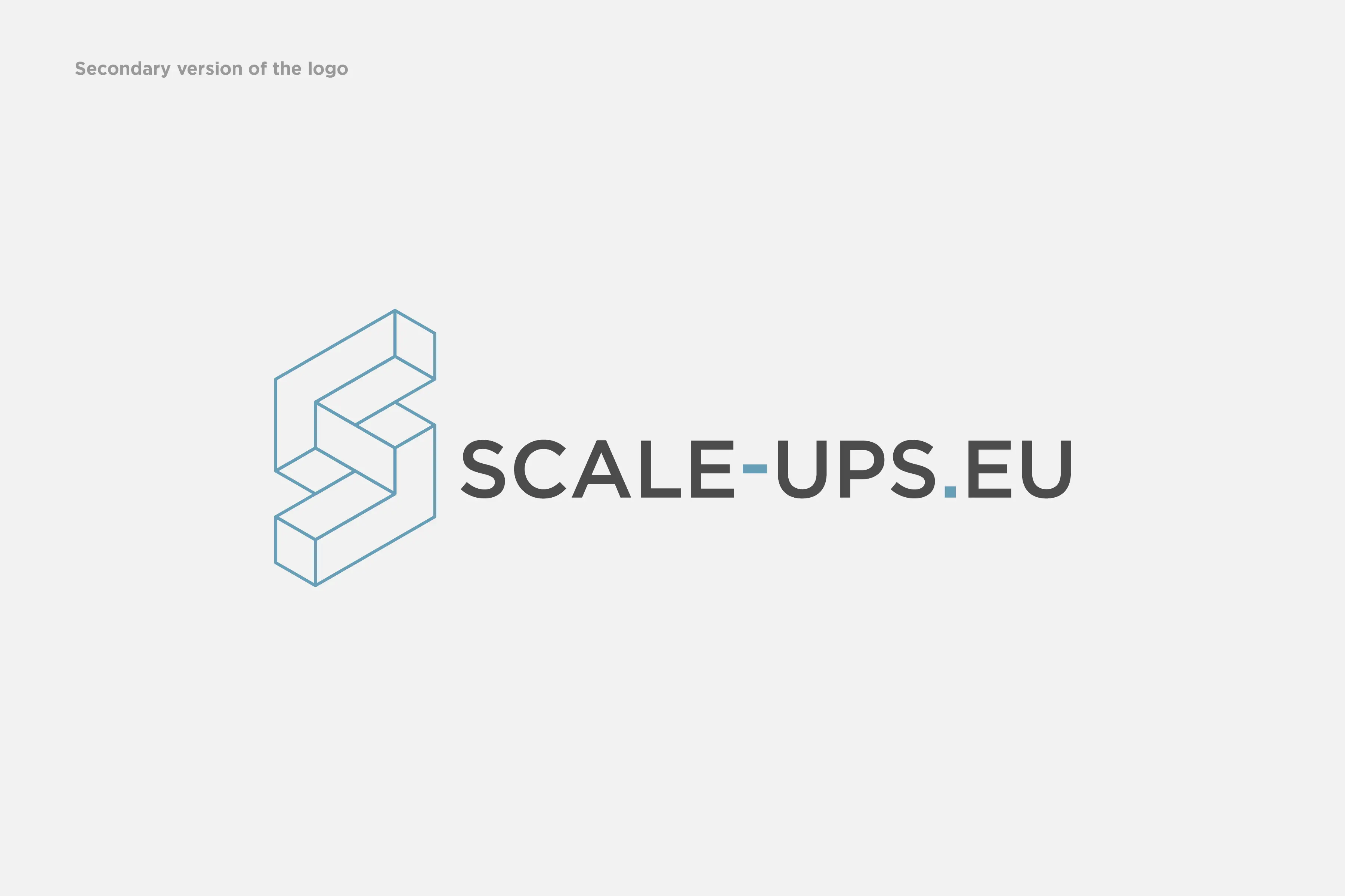 Scale-Ups.eu, case visual