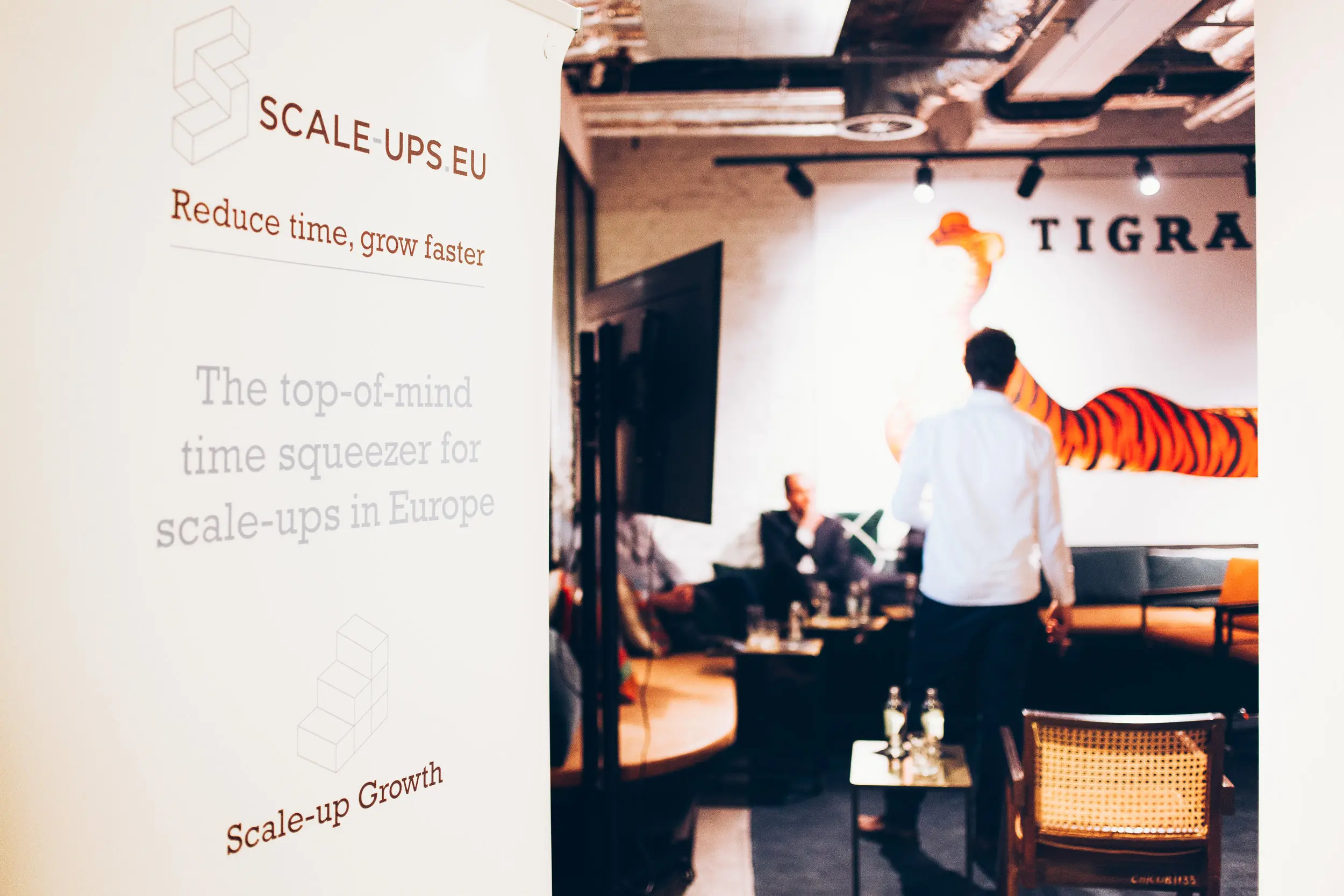 Scale-Ups.eu, case visual