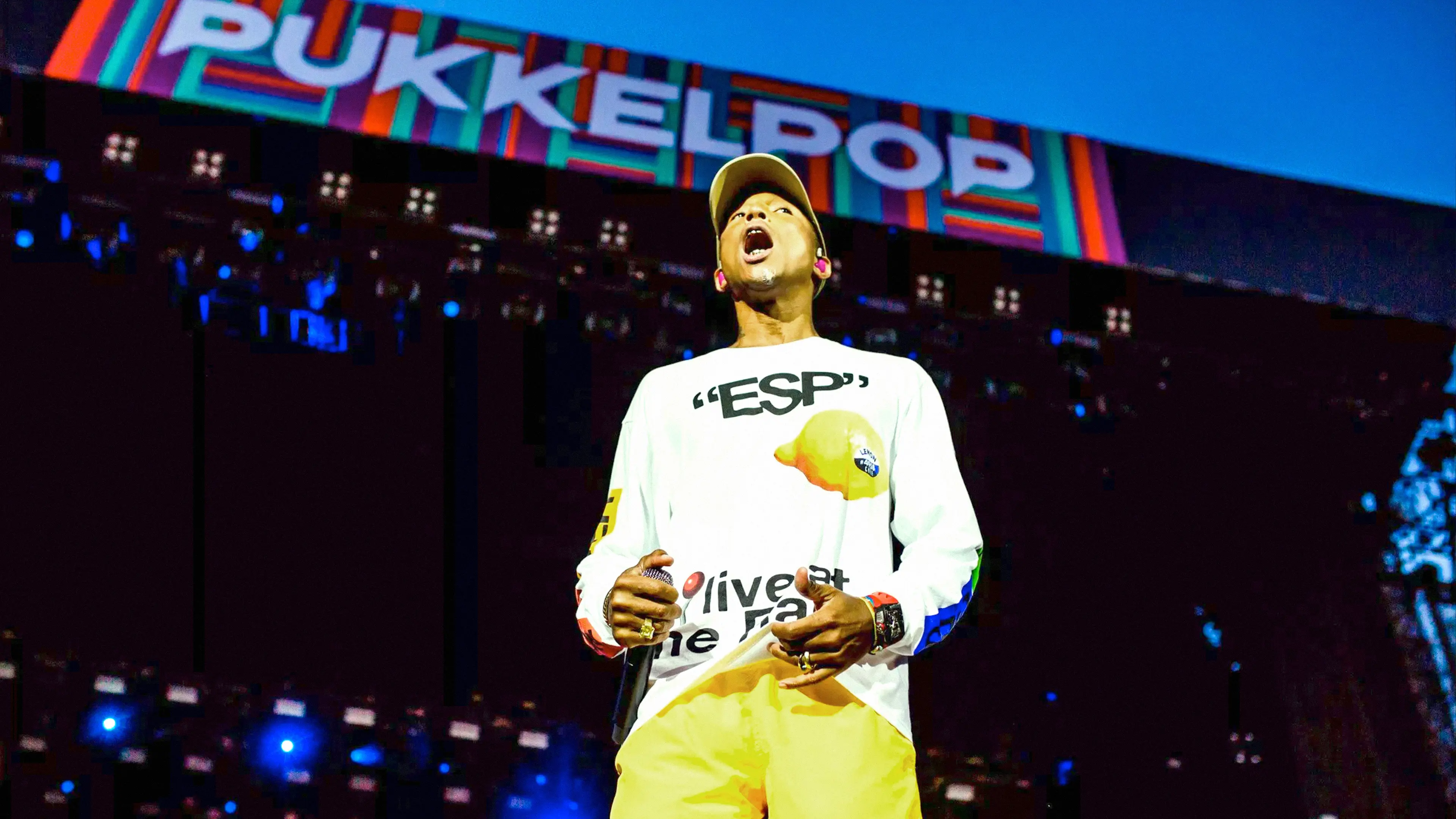 Pukkelpop 2018, case visual