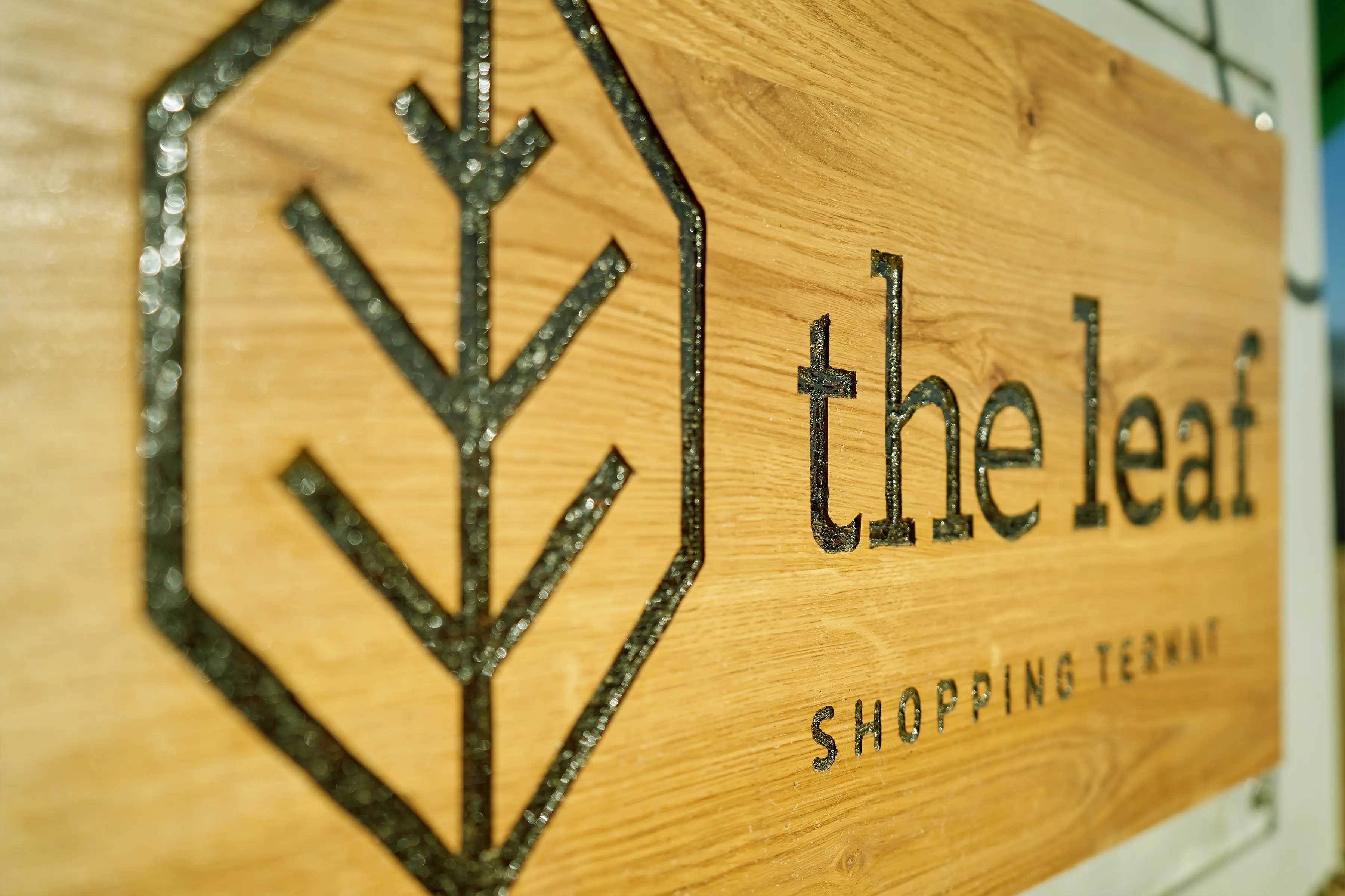 The Leaf, case visual