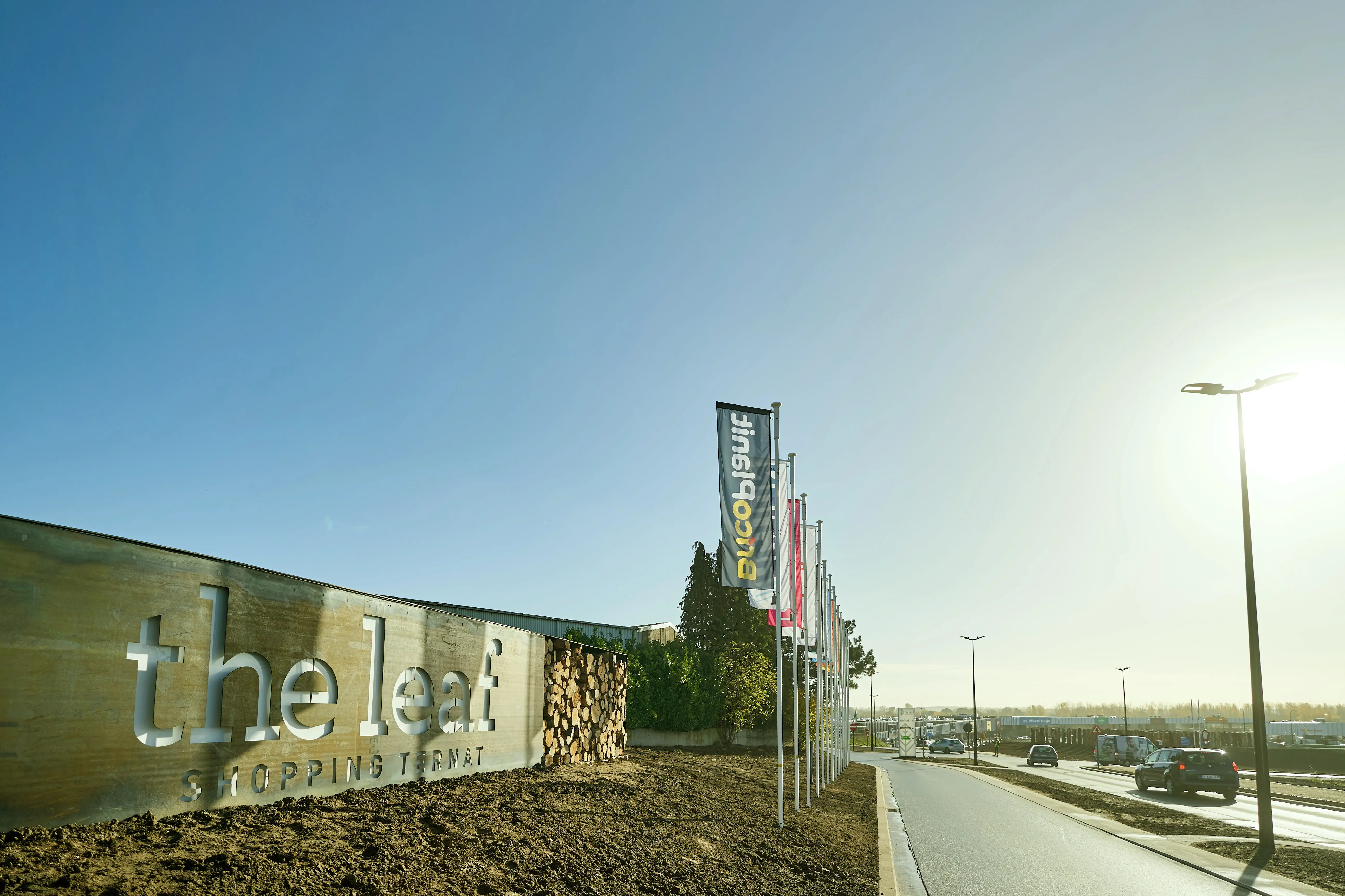 The Leaf, case visual