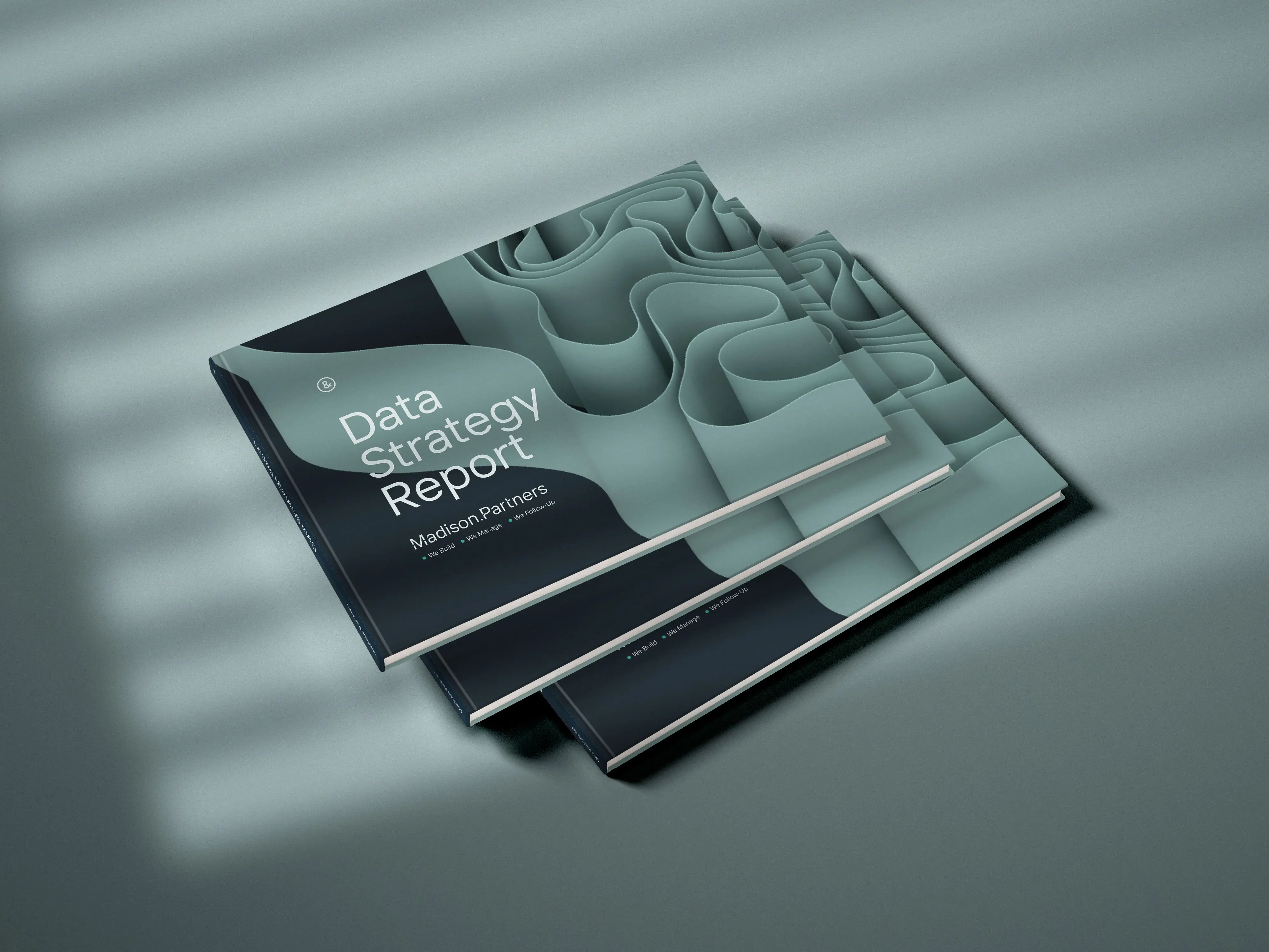Madison.Partners, case visual